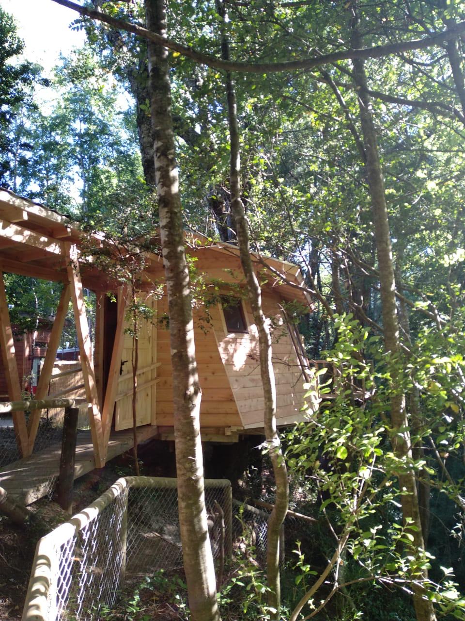 Foto Bosques de Loncotraro 68