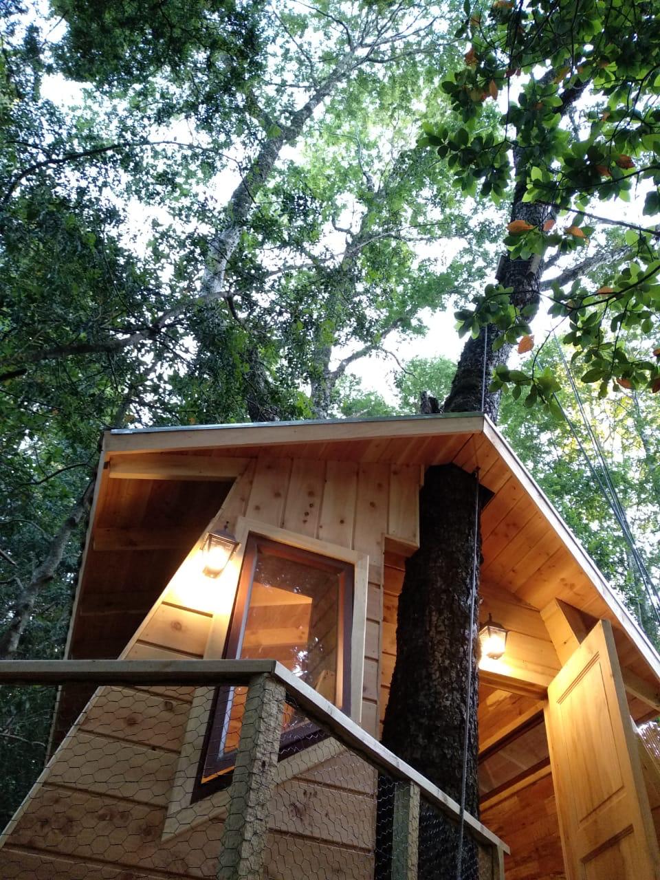 Foto Bosques de Loncotraro 69