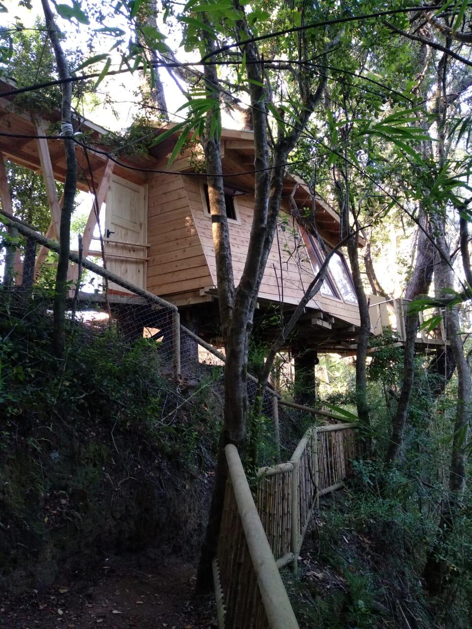 Foto Bosques de Loncotraro 71