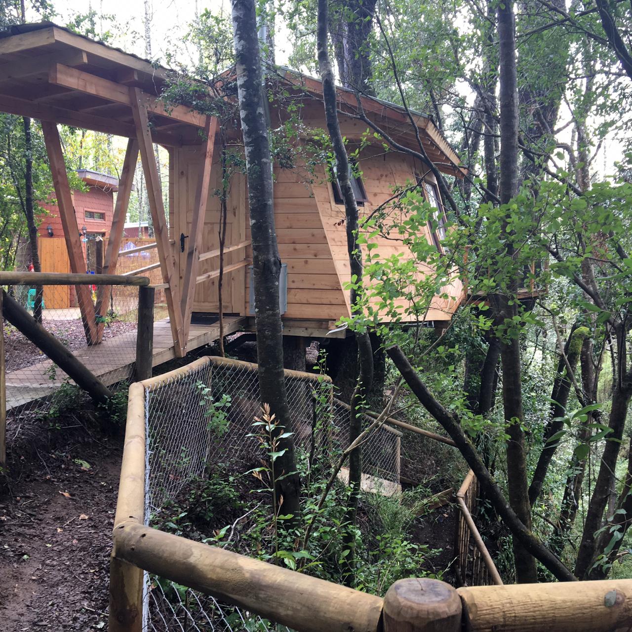 Foto Bosques de Loncotraro 74