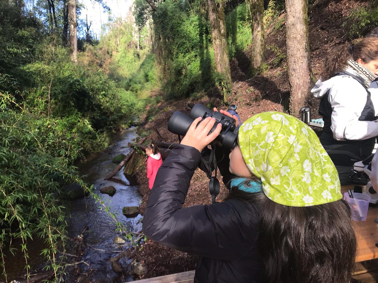 Foto Bosques de Loncotraro 86