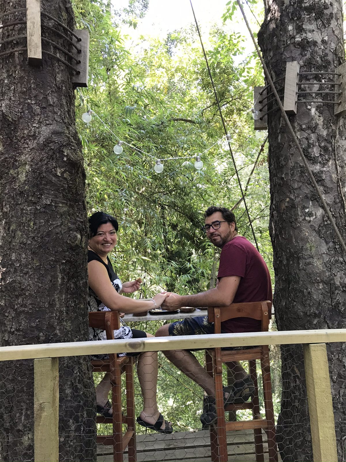 Foto Bosques de Loncotraro 37