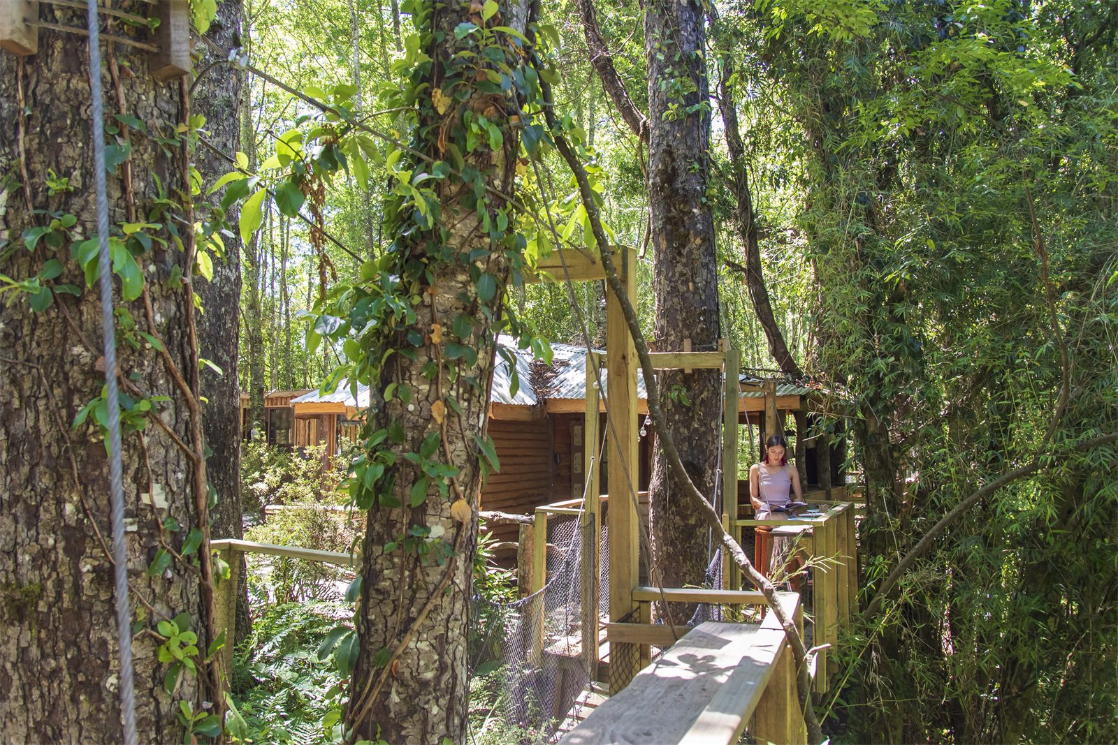 Foto Bosques de Loncotraro 39