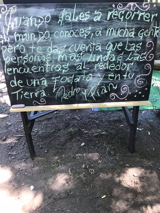 Foto Bosques de Loncotraro 54