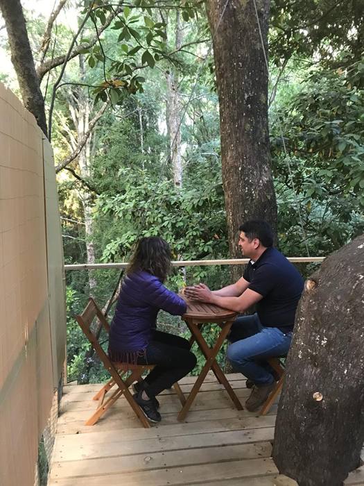 Foto Bosques de Loncotraro 66