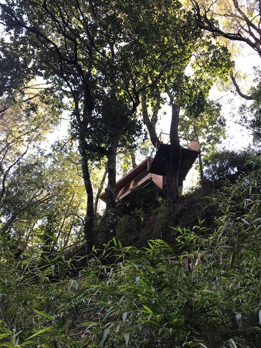 Foto Bosques de Loncotraro 72