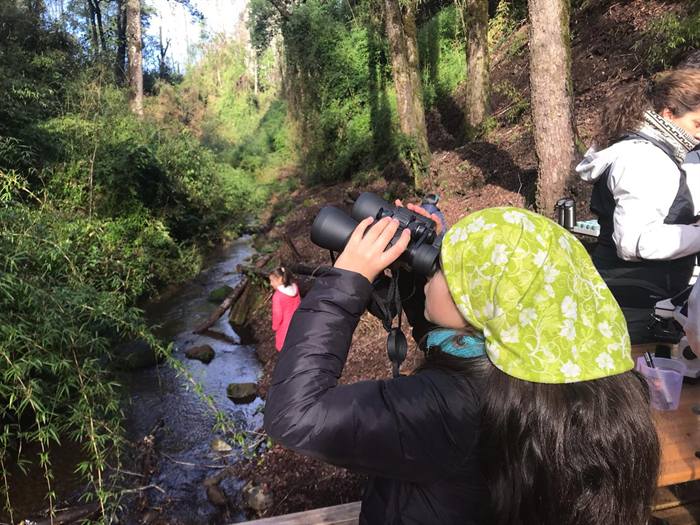 Foto Bosques de Loncotraro 86