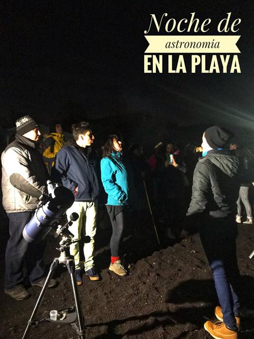 Foto Bosques de Loncotraro 88