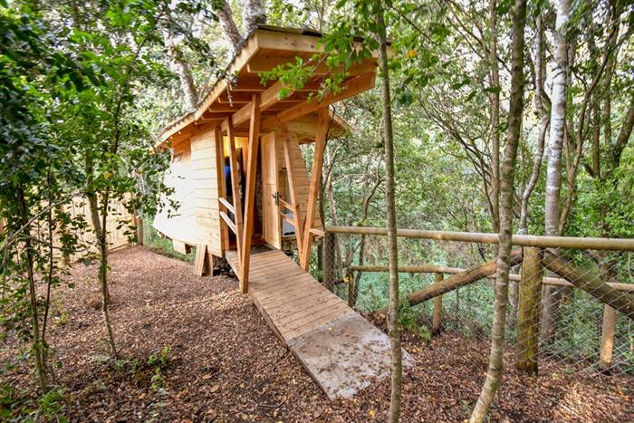 Foto Bosques de Loncotraro 101