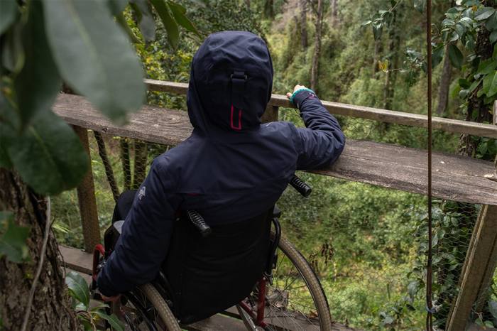 Foto Bosques de Loncotraro 9