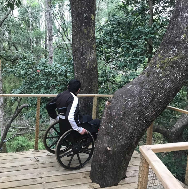 Foto Bosques de Loncotraro 44